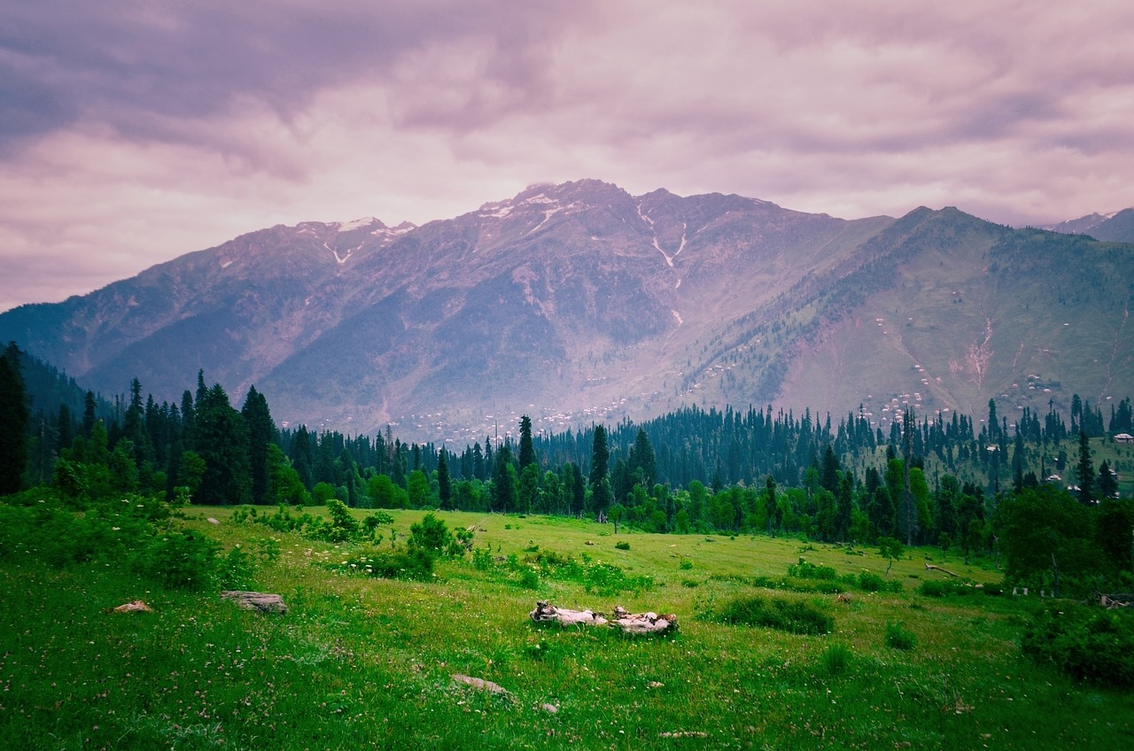 Sacred Kashmir Journey